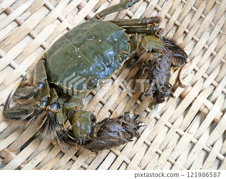 It is a type of crab similar to the Shanghai crab and is delicious at this time of year when it is fatty. 121986587