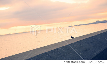 The sea at dusk and the shadows of birds resting their wings 121987252