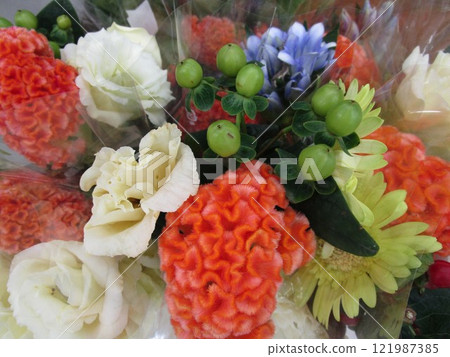 五顏六色的切花特寫 121987385