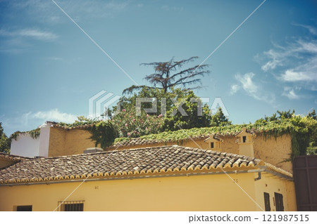 building building 121987515