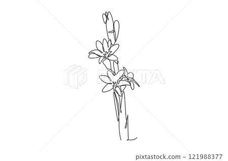 Continuous one line drawing beauty fresh agave amica for garden logo. Decorative tuberose flower concept for home art wall decoration poster print. Single line draw design vector graphic illustration Continuous one line drawing beauty fresh agave amica for garden logo. Decorative tuberose flower concept for home art wall decoration poster print. Single line draw design vector graphic illustration 121988377