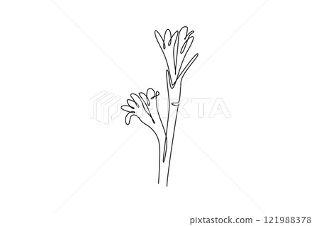 Continuous one line drawing beauty fresh agave amica for home decor wall art poster print. Decorative tuberose flower concept for floral card frame. Single line draw design vector graphic illustration 121988378