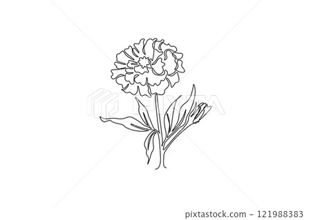 Single continuous line drawing beauty fresh marigold for home wall decor poster art. Printable decorative calendula flower concept park icon. Dynamic one line draw graphic design vector illustration 121988383