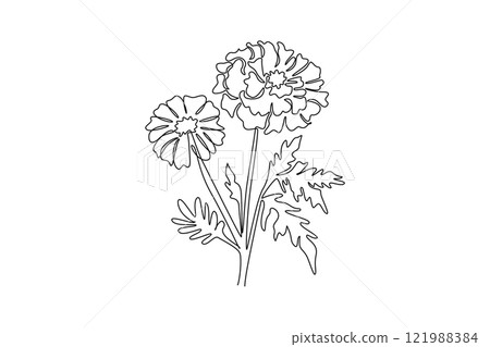 Single continuous line drawing beauty fresh calendula for home decoration wall art poster print. Printable decorative marigold flower concept. Dynamic one line draw graphic design vector illustration Single continuous line drawing beauty fresh calendula for home decoration wall art poster print. Printable decorative marigold flower concept. Dynamic one line draw graphic design vector illustration 121988384