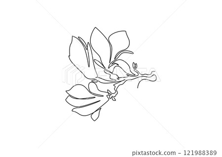Single continuous line drawing of beauty fresh magnoliaceae for home art wall decor poster print. Decorative magnolia flower concept floral card frame. One line draw graphic design vector illustration Single continuous line drawing of beauty fresh magnoliaceae for home art wall decor poster print. Decorative magnolia flower concept floral card frame. One line draw graphic design vector illustration 121988389