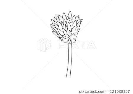 Continuous one line drawing of beauty fresh allium tuberosum for garden logo. Decorative chives flower concept for home wall decor art poster print. Single line draw design vector graphic illustration 121988397