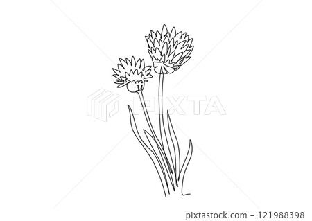 Continuous one line drawing of beauty fresh allium tuberosum for home wall decor poster. Decorative oriental garlic chives flower for greeting card. Single line draw design vector graphic illustration 121988398