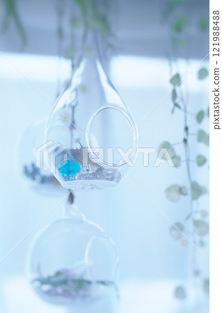 夏日的回憶 夏日的回憶 121988488