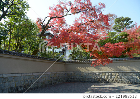 京都市左京區舊三井家下鴨別墅內的紅葉 京都市左京區舊三井家下鴨別墅內的紅葉 121988518