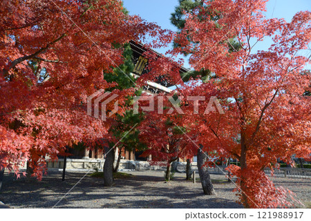 空海光明寺，京都市左京區黑谷山門的秋葉 121988917
