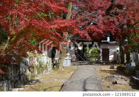 Autumn leaves at the south gate of Saiun-in Temple, Konkai-Komyoji Temple, Kurodani, Sakyo Ward, Kyoto City 121989112