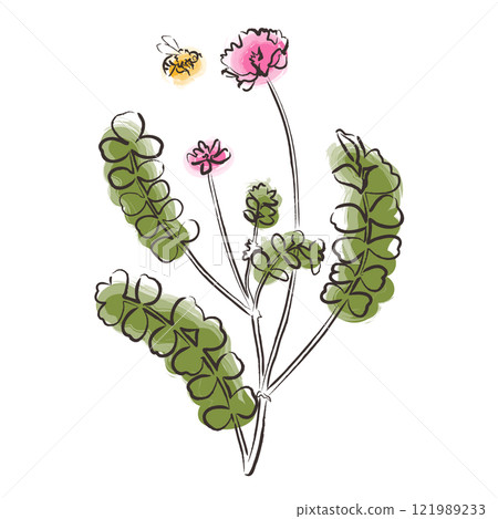 蓮花草和蜜蜂,手繪水彩風格的日式插畫 蓮花草和蜜蜂,手繪水彩風格的日式插畫 121989233