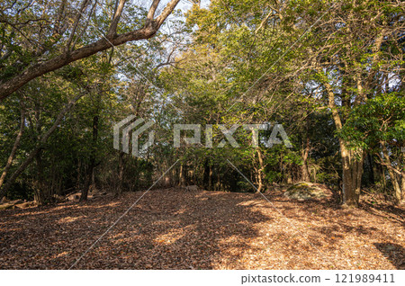 Kasagiyama scenery, Kasagi Town, Kyoto Prefecture Kasagiyama scenery, Kasagi Town, Kyoto Prefecture 121989411