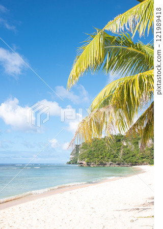 Tumon Beach, Guam: Palm trees and white sand beach 121989418