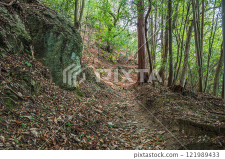 Kasagiyama forest scenery, Kasagiyama hiking trail, Kasagi Town, Kyoto Prefecture Kasagiyama forest scenery, Kasagiyama hiking trail, Kasagi Town, Kyoto Prefecture 121989433