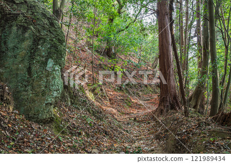 京都府笠置町笠置山登山道、笠置山林風光 京都府笠置町笠置山登山道、笠置山林風光 121989434