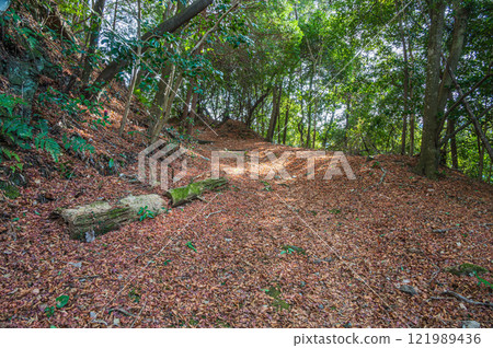Kasagiyama forest scenery, fallen leaves on the mountain trail, Kasagi Town, Kyoto Prefecture Kasagiyama forest scenery, fallen leaves on the mountain trail, Kasagi Town, Kyoto Prefecture 121989436