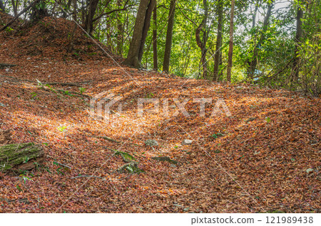 Kasagiyama forest scenery, fallen leaves on the mountain trail, Kasagi Town, Kyoto Prefecture 121989438