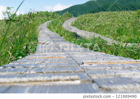 A boardwalk in the midst of magnificent nature 121989490