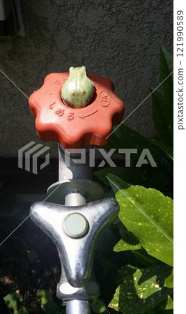 A frog's butt fits perfectly into the recess of the frost-proof plug. 121990589