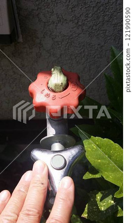 完美適合防凍塞凹槽的青蛙（從後面輕輕接近） 121990590