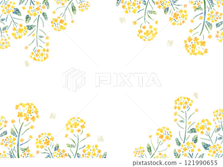Rape blossom and butterfly frame, horizontal, watercolor touch Rape blossom and butterfly frame, horizontal, watercolor touch 121990655