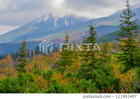 從十勝岳展望台看到的深秋景色 121991407
