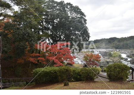 Falls of Sogaki of autumn leaves Falls of Sogaki of autumn leaves 121991501