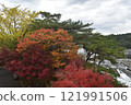 Falls of Sogaki of autumn leaves 121991506