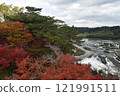 Falls of Sogaki of autumn leaves 121991511