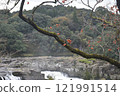Falls of Sogaki of autumn leaves 121991514
