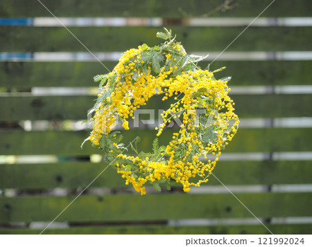 Photo of a mimosa wreath outdoors 121992024