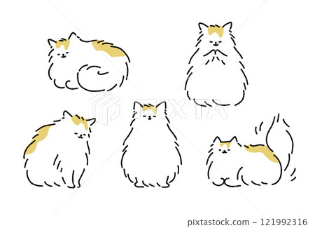 長毛貓套裝 121992316