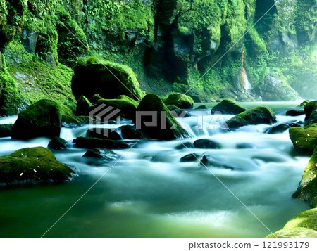 稻葉川溪流[大分] 121993179