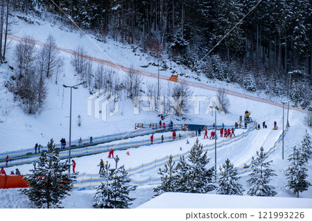 Skiers Enjoying a Snowy Slope in a Pine Forest 121993226
