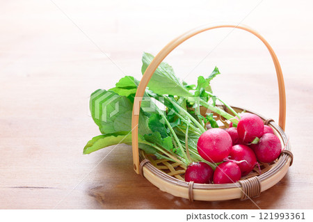 新鮮蘿蔔（20天蘿蔔） 121993361