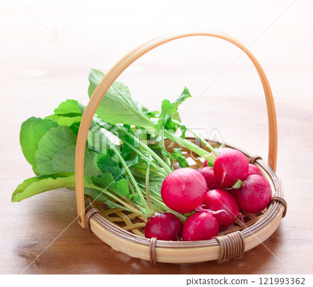 新鮮蘿蔔（20天蘿蔔） 121993362