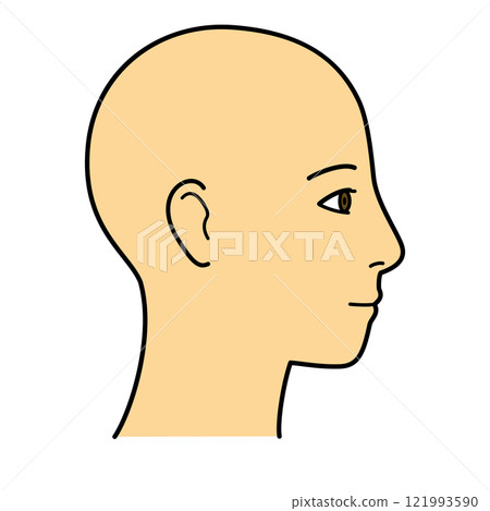 臉部輪廓 右面 顏色 121993590