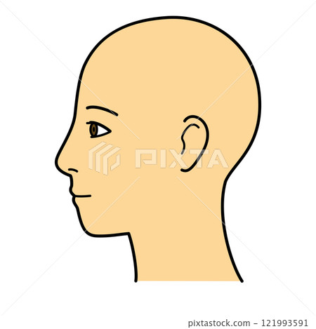 臉部輪廓 左面 顏色 121993591