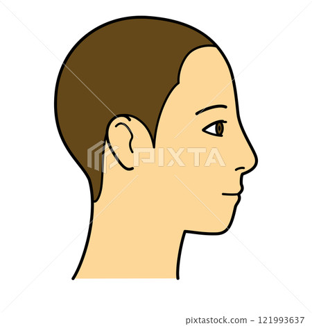 Face, hairline, profile, right side, color 121993637