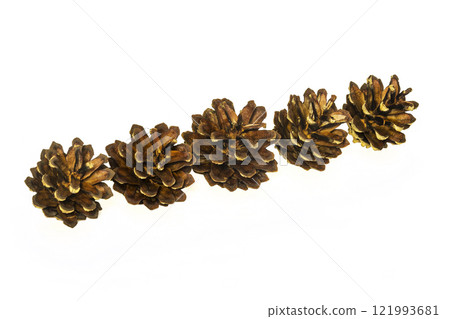 On a light surface there are five pine cones 121993681