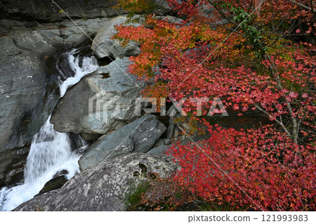 Toro Gorge 2 (Saijo City, Ehime Prefecture, Sasaga Mine hiking trail entrance) Toro Gorge 2 (Saijo City, Ehime Prefecture, Sasaga Mine hiking trail entrance) 121993983