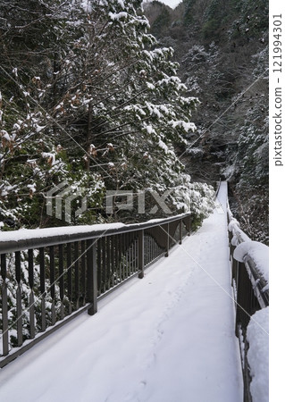 Snow falls on the Aiden Bridge in the Mitarai Valley Snow falls on the Aiden Bridge in the Mitarai Valley 121994301
