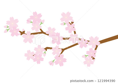 Illustration of cherry tree branch Illustration of cherry tree branch 121994390