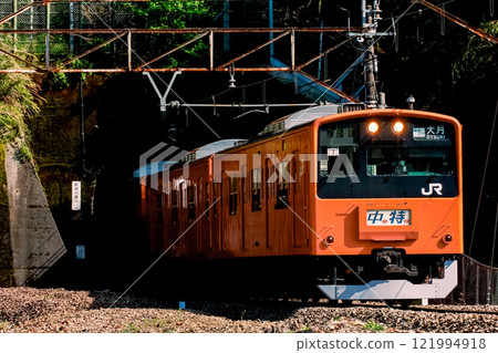 Chuo Limited Express 201 series bound for Otsuki passing through a tunnel Chuo Limited Express 201 series bound for Otsuki passing through a tunnel 121994918