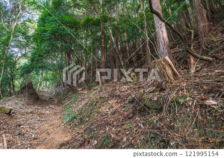 Kasagiyama forest scenery, Kasagi Town, Kyoto Prefecture 121995154