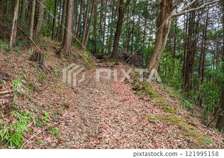 Kasagiyama forest scenery, fallen leaves on the mountain trail, Kasagi Town, Kyoto Prefecture 121995158
