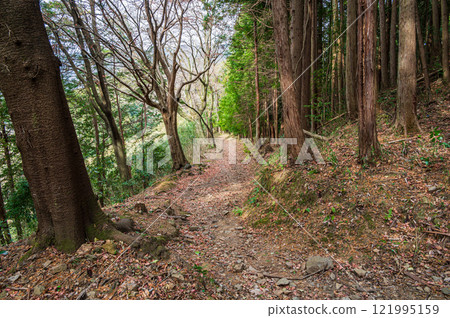 京都府笠置町笠置山登山道、笠置山林風光 121995159