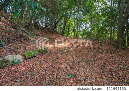 Kasagiyama forest scenery, fallen leaves on the mountain trail, Kasagi Town, Kyoto Prefecture 121995160