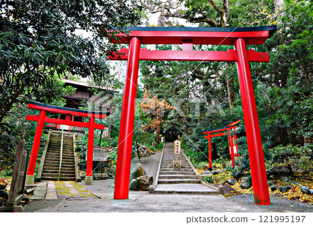 伊豆：白濱神社的紅色鳥居 121995197